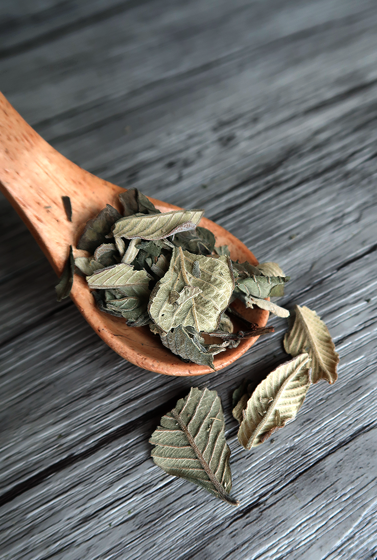 Guava Leaf Tea - Tea Voyage Guava Leaf Tea - Tea Voyage